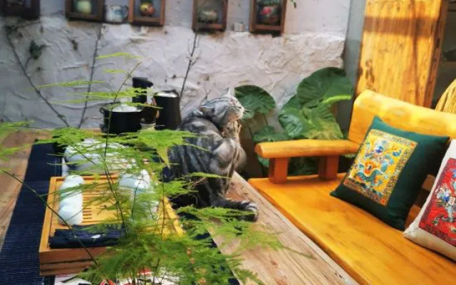 Yunshe Puju Guesthouse