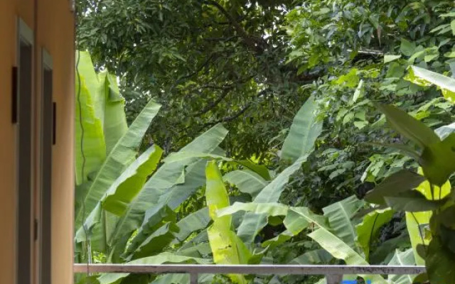 Jingmaishan Gukang Mingye Homestay (Princess Banyan Tree) — 2-star hotel in Pu'er