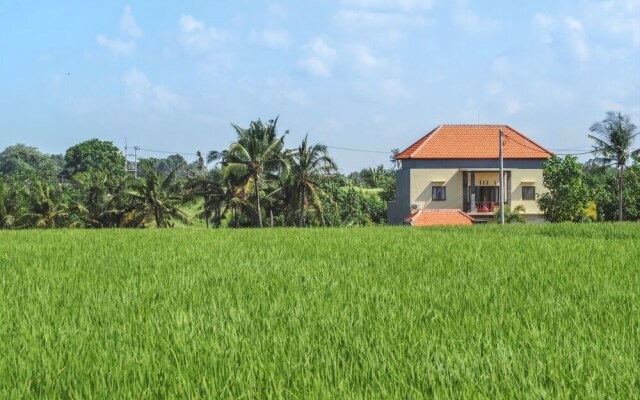 Canggu Beach Hostel