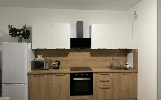 Апартаменты на проспекте Ветеранов