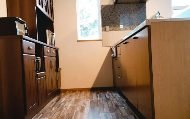 Donguri House