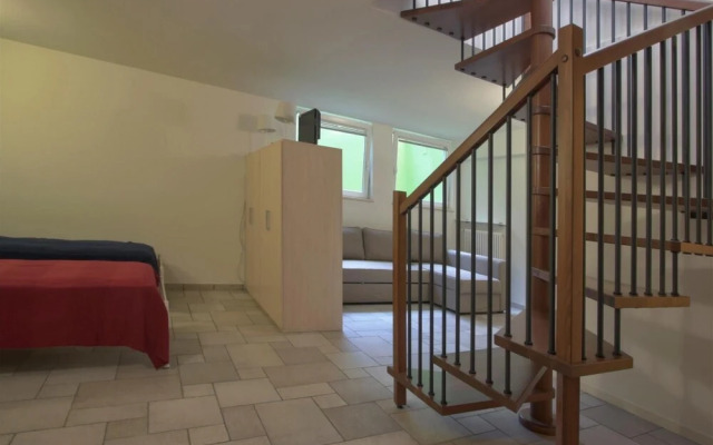 Benacus - Italian Homing