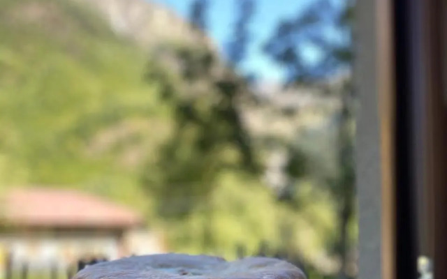 Roberi Art Guest House