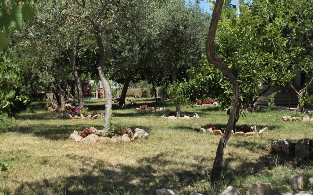 Studio Sucuraj 6852a