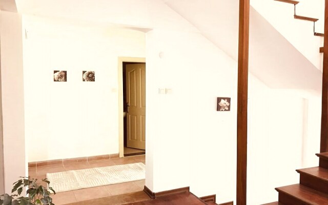 BO093 by Villaofsummer