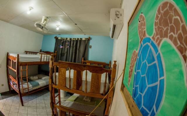 Miramar Surfcamp