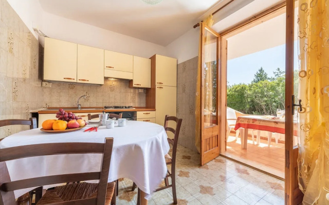 Casa Collodi
