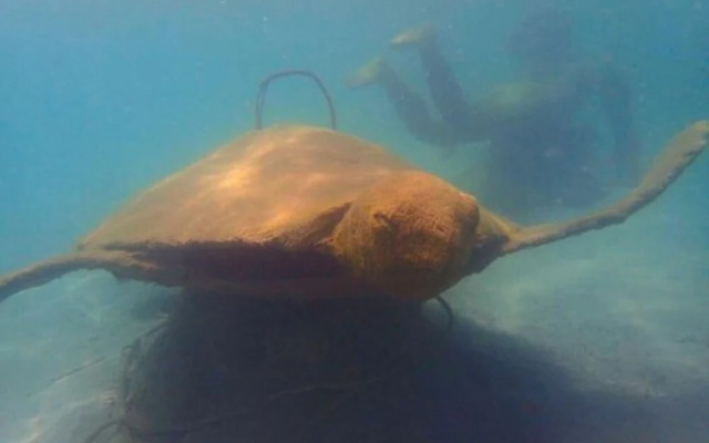 Apartamentos Arrecifes Punta Leona