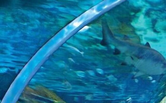 Whispering Pines 324