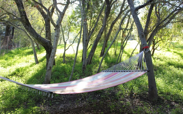 Sandra D's Country Guest House