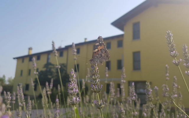 Agriturismo ai Casali