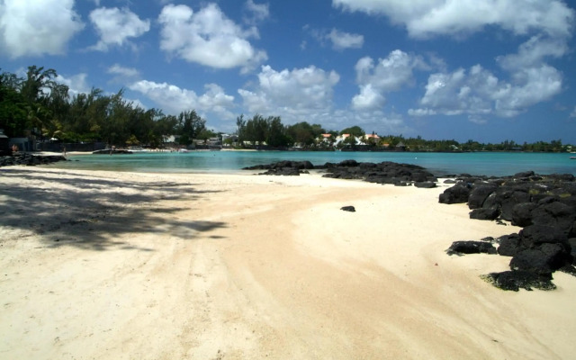 Ocean Beauty