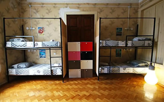 Хостел Dingo Backpackers