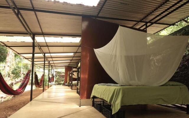 Bolita Rainforest Hostel and Cabinas