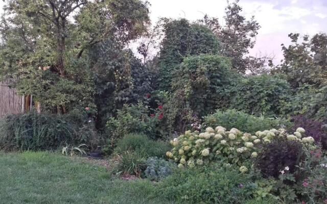 Rigófütty Vendégház