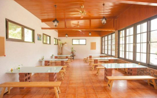Puli Tenlai