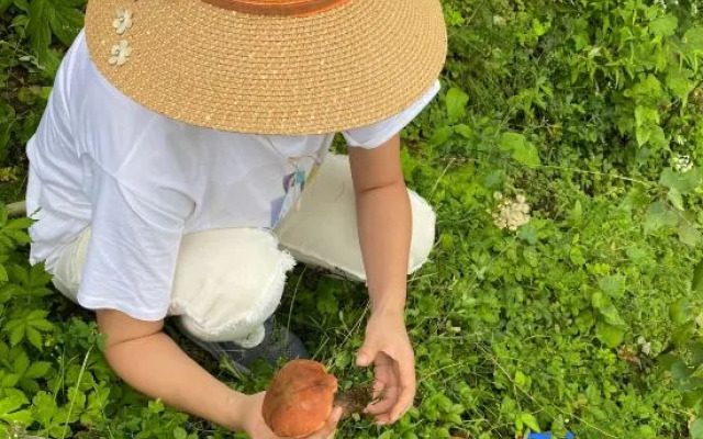 The Happy Bandmo's Home