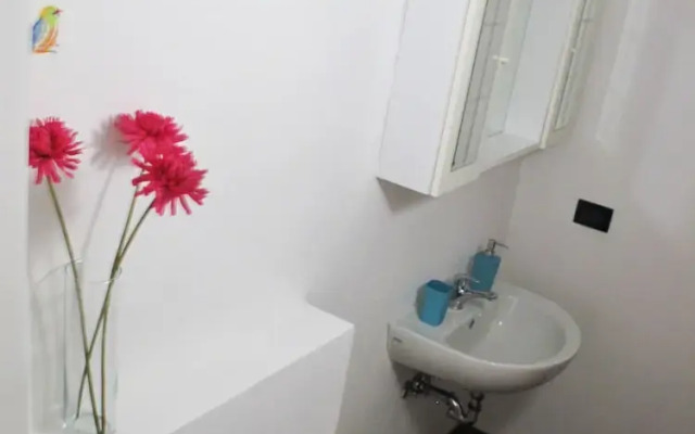 Lovely Studio Apartment