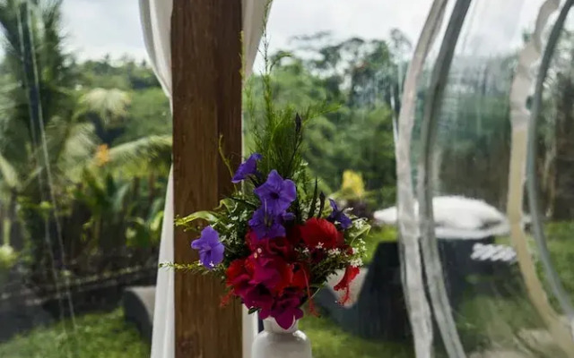 Bubble Hotel Bali Ubud - Glamping