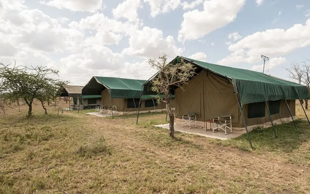 Serengeti Wild Camp