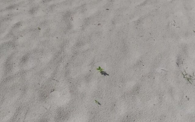 Heritage Retreat Bungalows