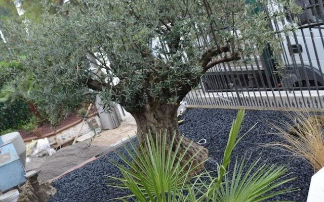 B&B Garda Charme