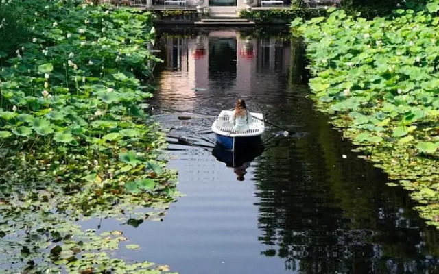 Tranquil 1BR Villa in Revislate