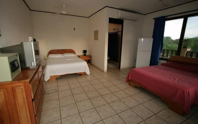 Blue Palm Hotel