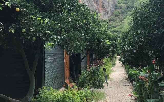 Olympos Tatilya Pansiyon