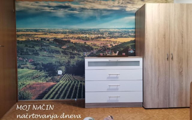 Apartma med vinogradi