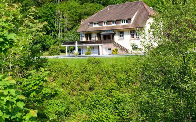 Black Forest Family Apartment-Zum Letzten G'Stehr