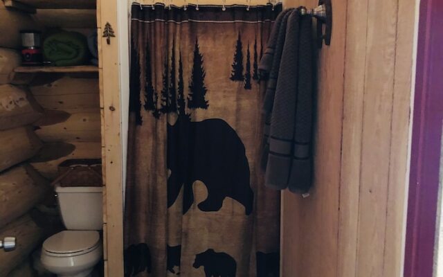 Wrangell Mountain Lodge