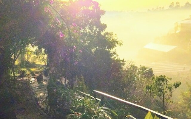 Tuyet Hoa Hon Bo Bungalow