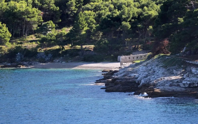Zoki - Great Location Close to the sea - A1 Zeleni