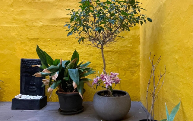 Valletta Collection - Merchant Str Apartment with large yard