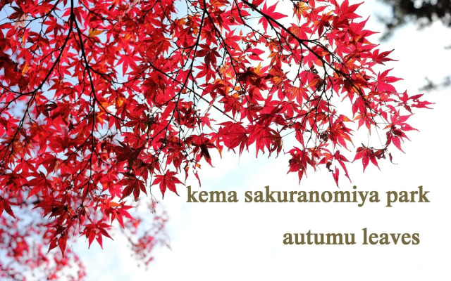 Hotel Noah Resort Sakuranomiya - Adults Only