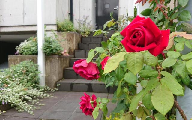 AOI Guest House