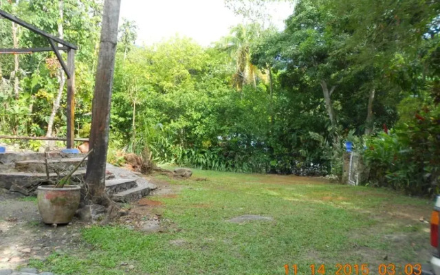 Selvablanca Hostel