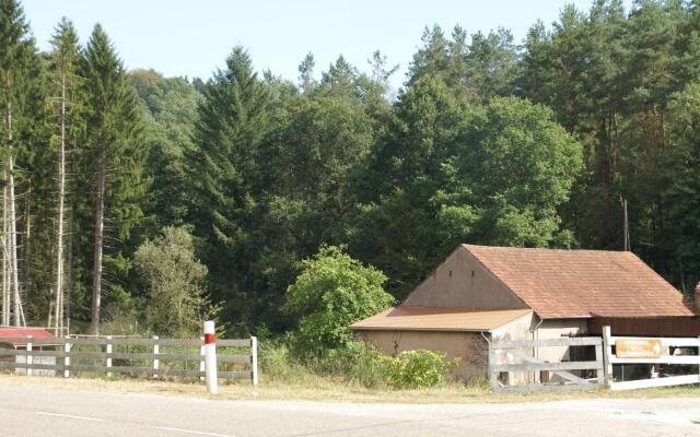 Spacious gîte for 6 persons in Hanviller, Mosel