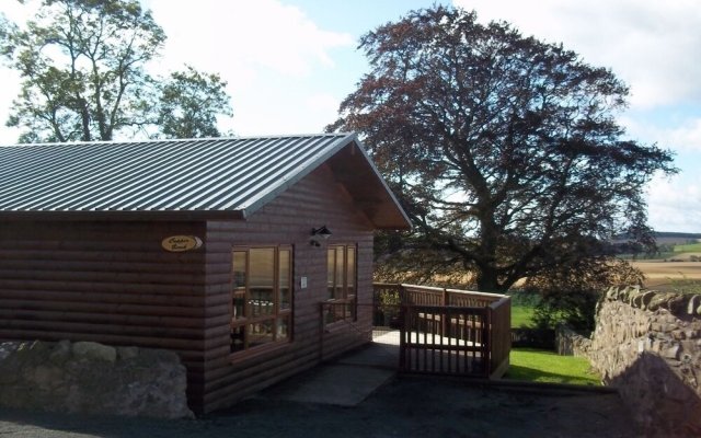 Copper Beech Lodge