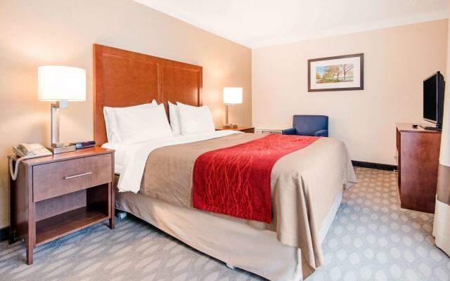 Comfort Inn Fallsview