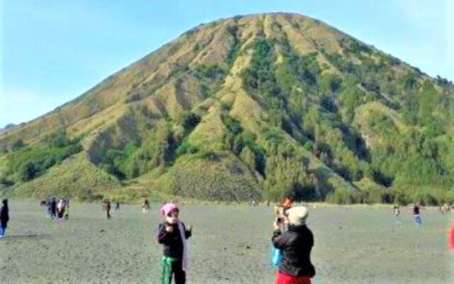 Feni Homestay