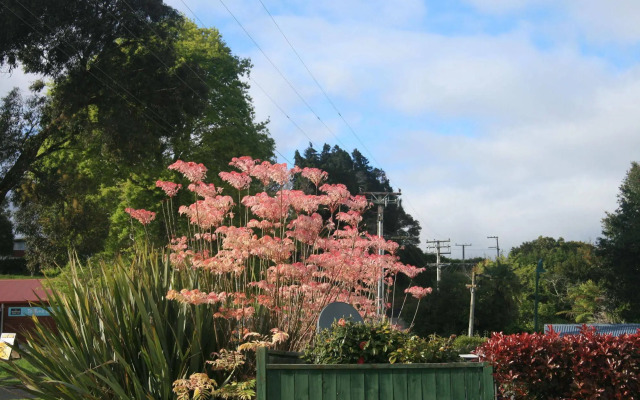 Accommodation Te Puna