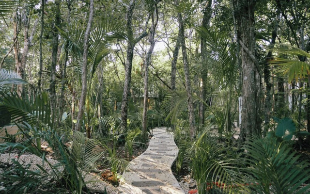 Tulum Jungle Villa Tierra