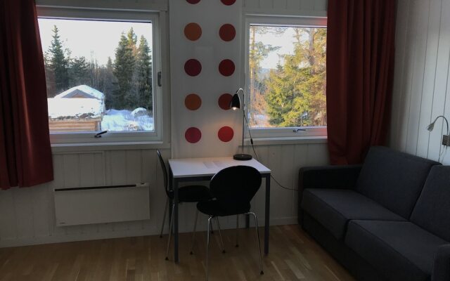 Raulandsakademiet og Vandrerhjem