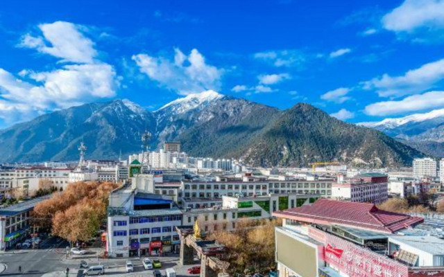 Suiton Plus By Paxton Linzhi