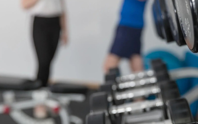 Talayot Affiliated By Senator