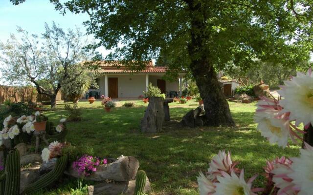 Agriturismo San Vincenzo