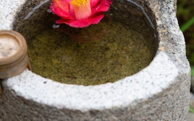 Kanade Matsubaragokomachi Momijitei