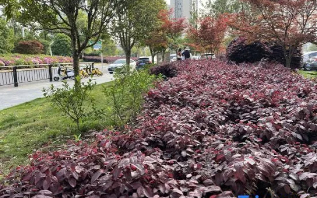 Yipin International Hotel (County Government Affairs Center)